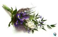 http://www.wineflowers.com/images/bouquet-iris-blue.jpg