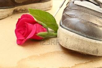 Scarpa calpestare rosa, l'amore e il concetto cuore spezzato Archivio Fotografico - 13082003