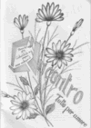 febbraio