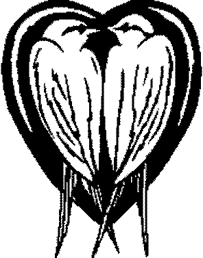 RONDINI