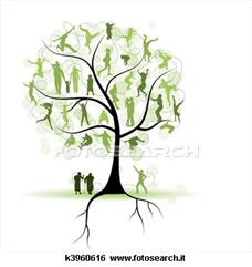 ALBERO