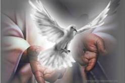 SPIRITO SANTO