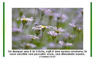 FIORI
