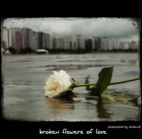 FIORE